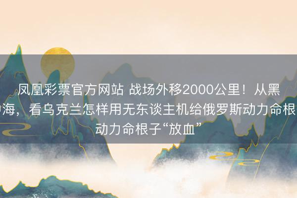 凤凰彩票官方网站 战场外移2000公里!从黑海到地中海,看乌克兰怎样用无东谈主机给俄罗斯动力命根子“放血”