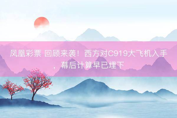 凤凰彩票 回顾来袭!西方对C919大飞机入手,幕后计算早已埋下