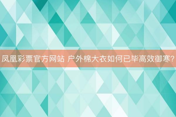 凤凰彩票官方网站 户外棉大衣如何已毕高效御寒？