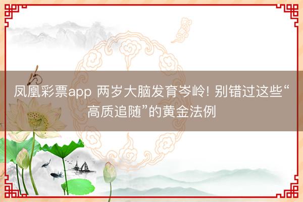 凤凰彩票app 两岁大脑发育岑岭! 别错过这些“高质追随”的黄金法例