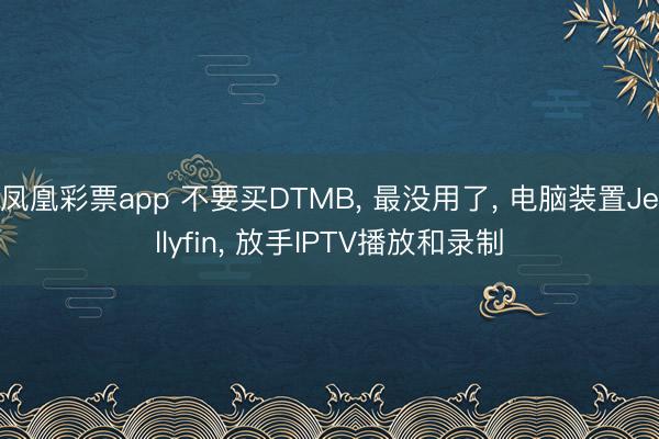凤凰彩票app 不要买DTMB, 最没用了, 电脑装置Jellyfin, 放手IPTV播放和录制