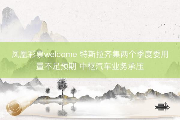 凤凰彩票welcome 特斯拉齐集两个季度委用量不足预期 中枢汽车业务承压