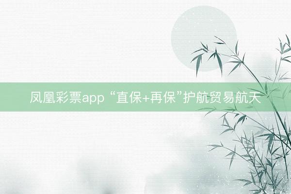 凤凰彩票app “直保+再保”护航贸易航天