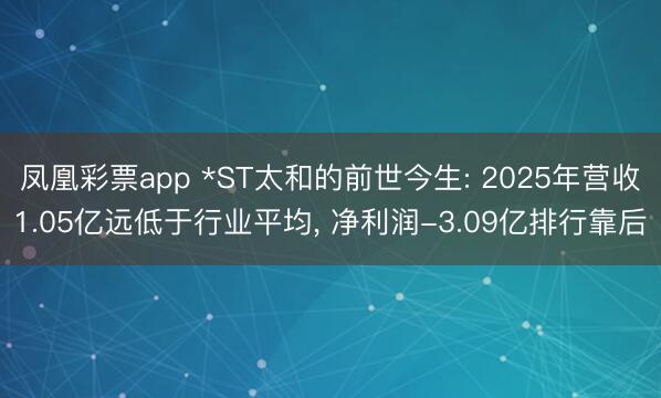 凤凰彩票app *ST太和的前世今生: 2025年营收1.05亿远低于行业平均, 净利润-3.09亿排行靠后