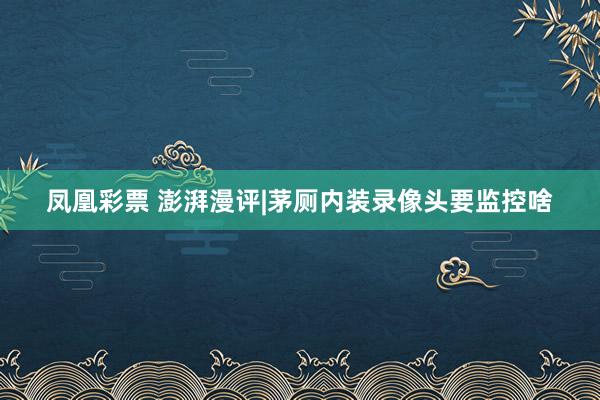 凤凰彩票 澎湃漫评|茅厕内装录像头要监控啥