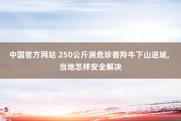 中国官方网站 250公斤濒危珍兽羚牛下山进城， 当地怎样安全解决