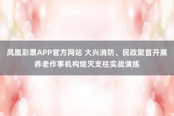 凤凰彩票APP官方网站 大兴消防、民政聚首开展养老作事机构熄灭支柱实战演练
