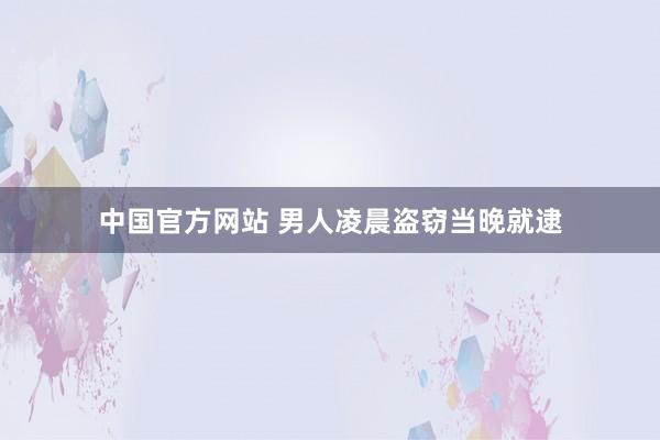 中国官方网站 男人凌晨盗窃当晚就逮