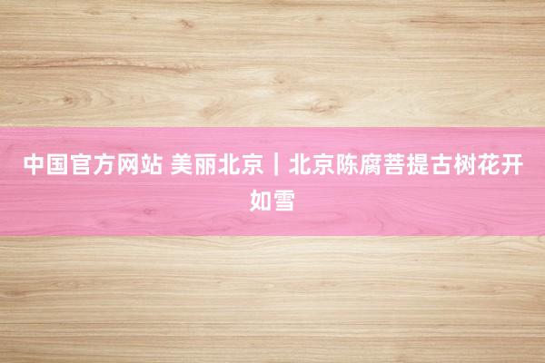 中国官方网站 美丽北京|北京陈腐菩提古树花开如雪