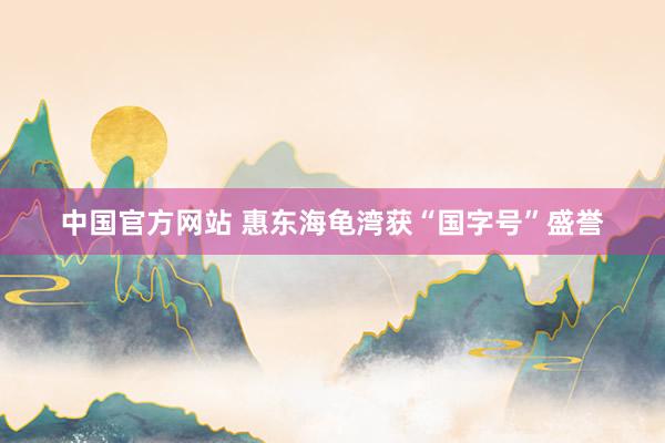 中国官方网站 惠东海龟湾获“国字号”盛誉