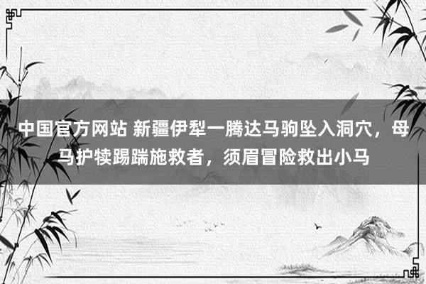 中国官方网站 新疆伊犁一腾达马驹坠入洞穴，母马护犊踢踹施救者，须眉冒险救出小马