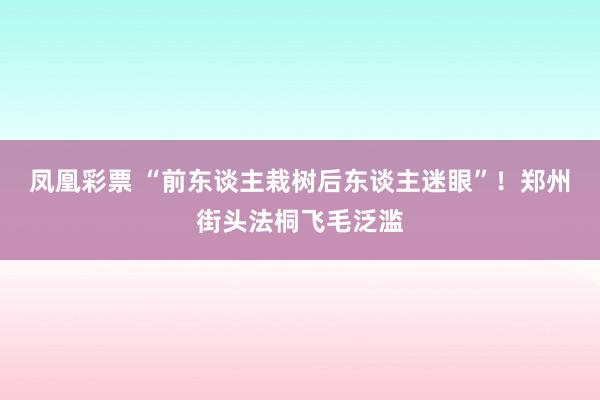 凤凰彩票 “前东谈主栽树后东谈主迷眼”！郑州街头法桐飞毛泛滥