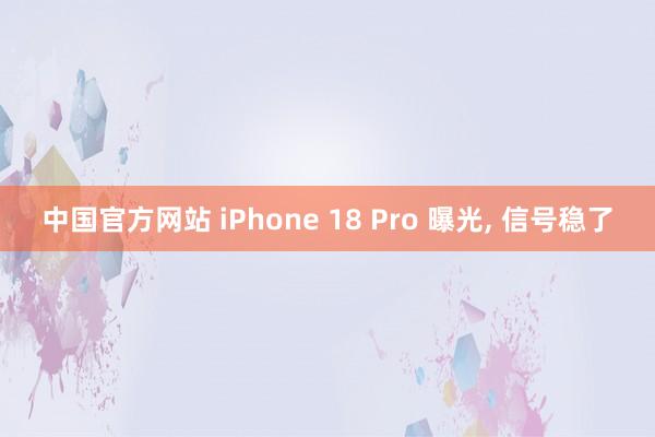中国官方网站 iPhone 18 Pro 曝光， 信号稳了