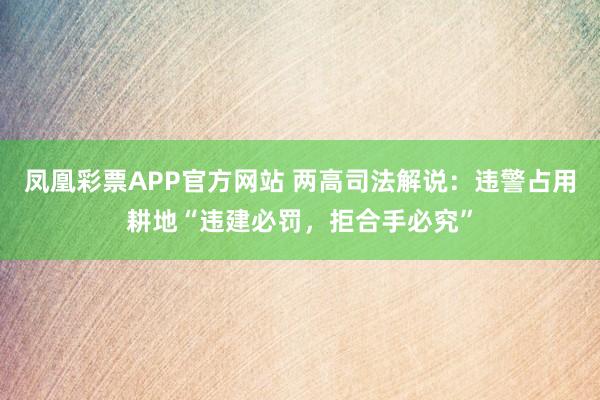 凤凰彩票APP官方网站 两高司法解说：违警占用耕地“违建必罚，拒合手必究”