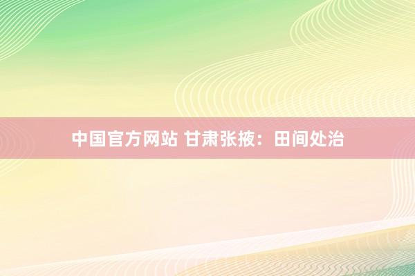 中国官方网站 甘肃张掖：田间处治