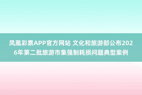 凤凰彩票APP官方网站 文化和旅游部公布2026年第二批旅游市集强制耗损问题典型案例