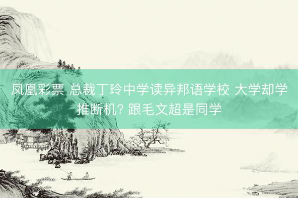 凤凰彩票 总裁丁玲中学读异邦语学校 大学却学推断机? 跟毛文超是同学