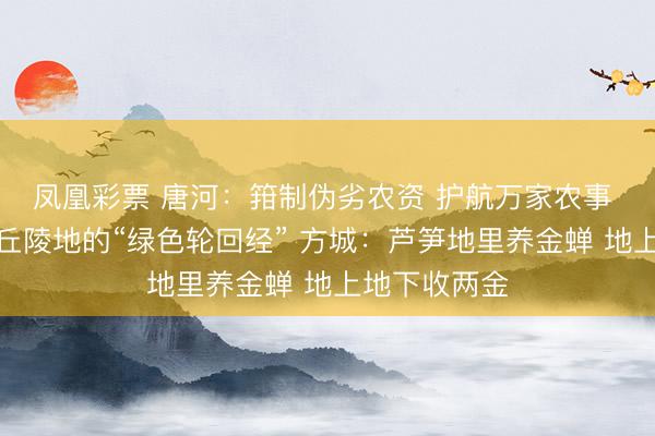 凤凰彩票 唐河：箝制伪劣农资 护航万家农事 淅川：岗坡丘陵地的“绿色轮回经” 方城：芦笋地里养金蝉 地上地下收两金