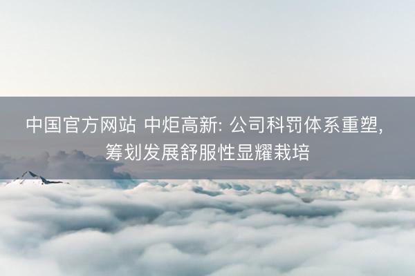 中国官方网站 中炬高新: 公司科罚体系重塑， 筹划发展舒服性显耀栽培