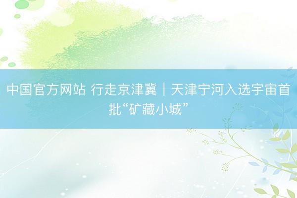 中国官方网站 行走京津冀｜天津宁河入选宇宙首批“矿藏小城”