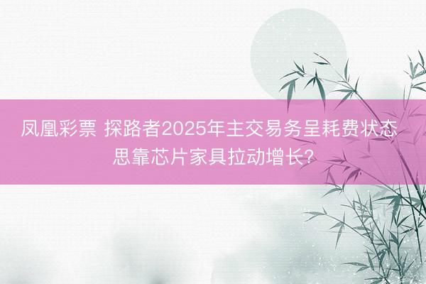 凤凰彩票 探路者2025年主交易务呈耗费状态 思靠芯片家具拉动增长?
