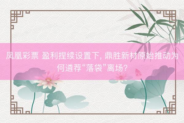 凤凰彩票 盈利捏续设置下， 鼎胜新材原始推动为何遴荐“落袋”离场?