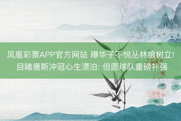 凤凰彩票APP官方网站 曝华子不悦丛林狼树立! 目睹唐斯冲冠心生漂泊: 但愿球队重磅补强