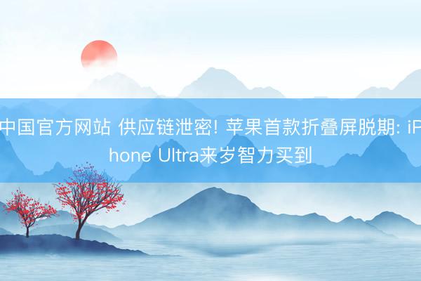 中国官方网站 供应链泄密! 苹果首款折叠屏脱期: iPhone Ultra来岁智力买到
